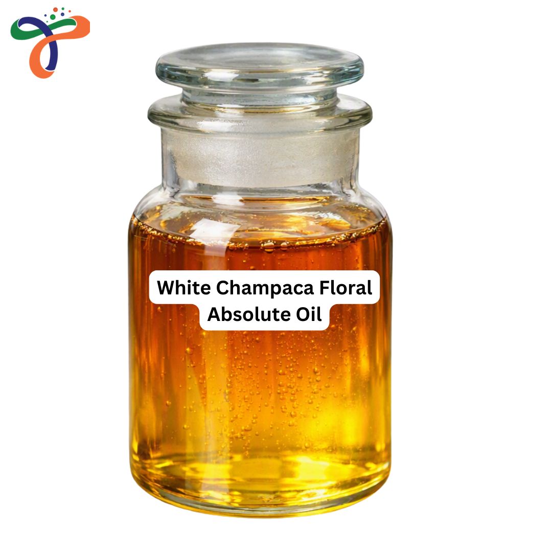 White Champaca Floral Absolute Oil